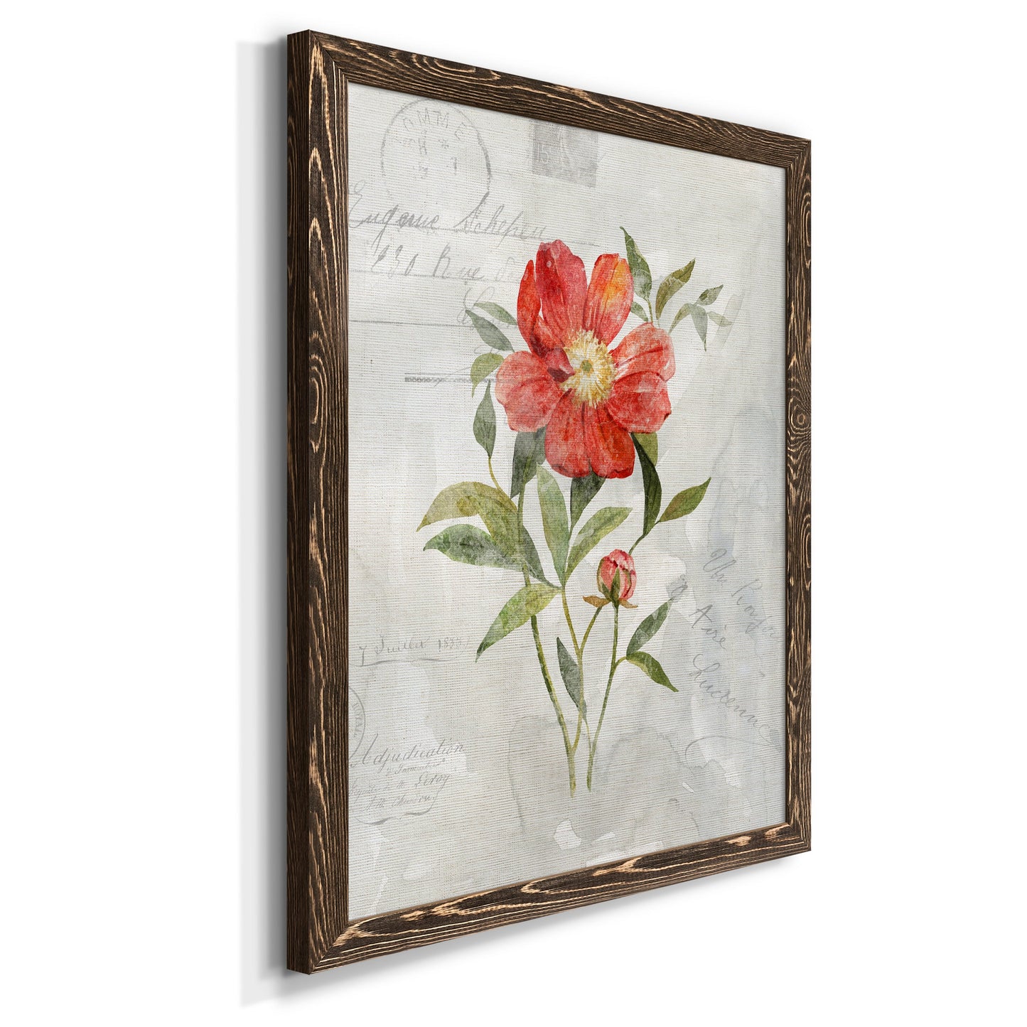 Linen Peony - Premium Canvas Framed in Barnwood - Ready to Hang