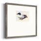 White and Blue Mallard Premium Framed Print Double Matboard