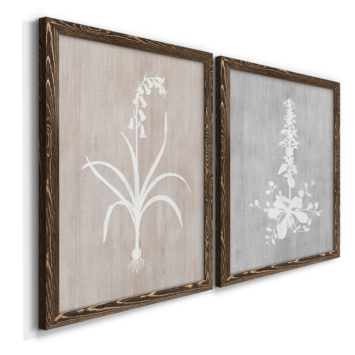 Angled view of a set of two walnut barnwood framed canvas prints featuring two rustic minimalist botanical prints featuring white botanical silhouettes on softly weathered neutral backgrounds.