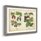 Kitchen Fruits III-Premium Framed Print - Ready to Hang