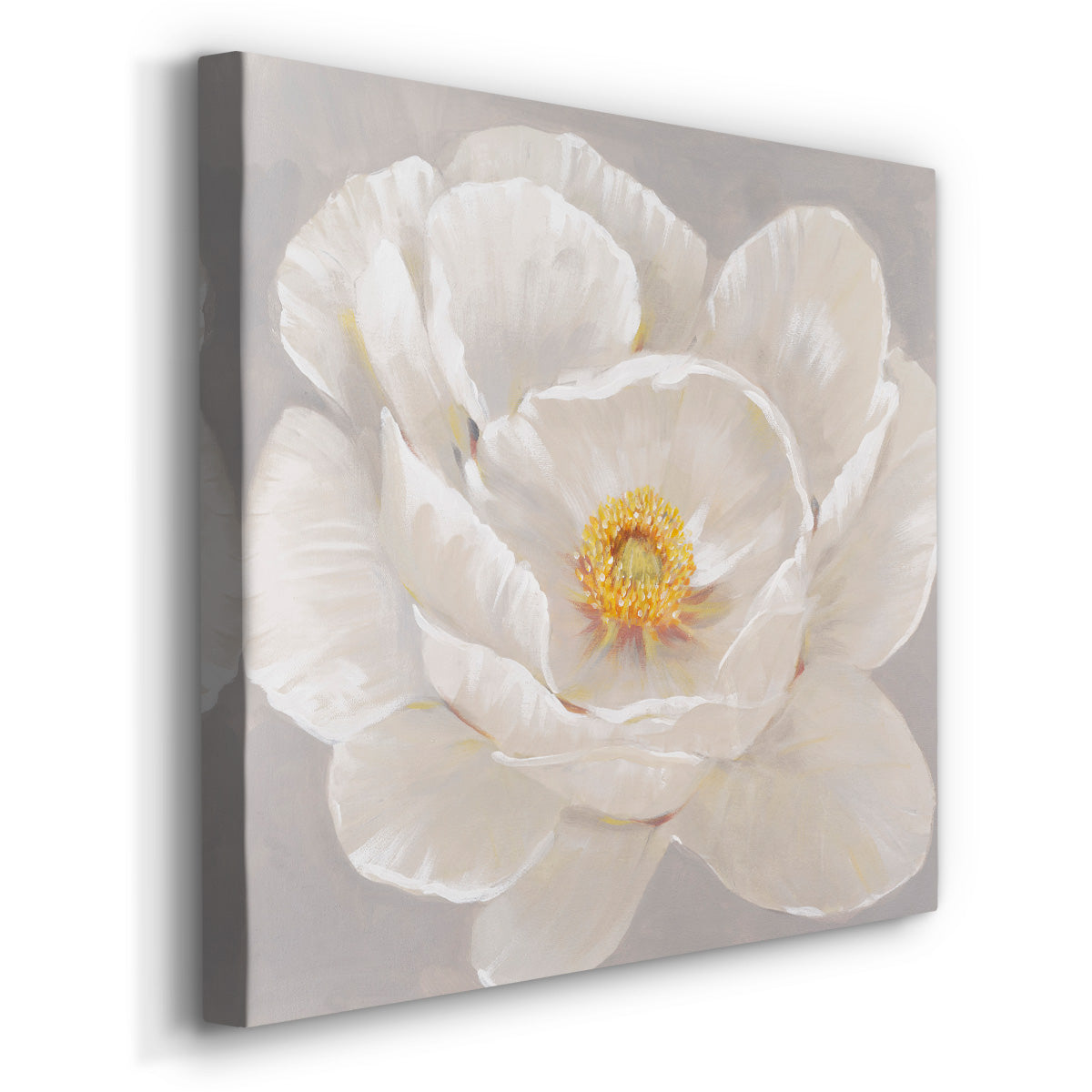 White Peony II-Premium Gallery Wrapped Canvas - Ready to Hang