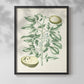 Buchoz Tropicals III - Restickable Framed Art Print