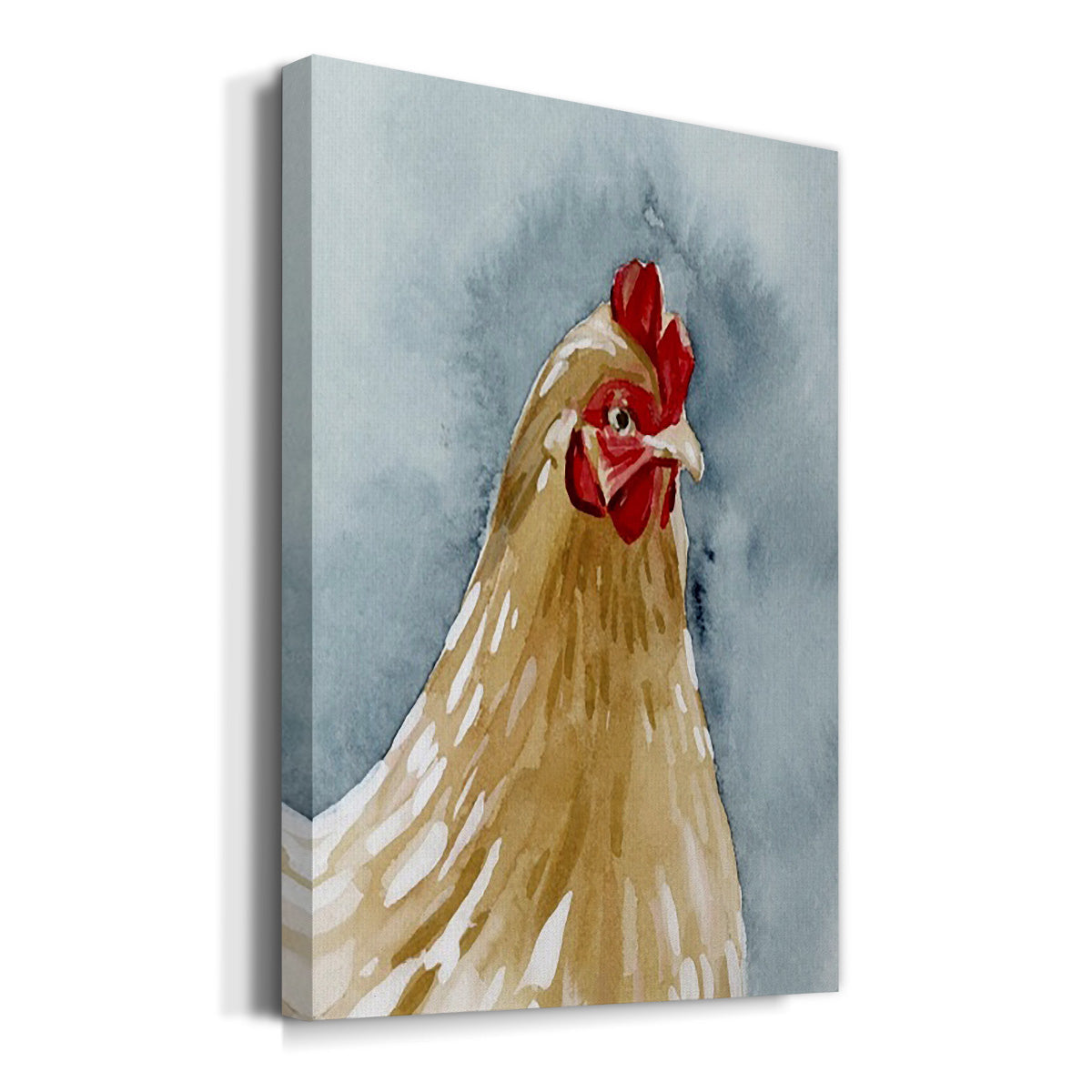 Chicken Portrait II Premium Gallery Wrapped Canvas - Ready to Hang