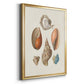 Knorr Shells & Coral I - Modern Framed Canvas Print