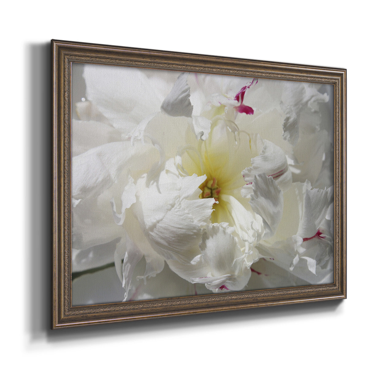 Breathless II Premium Framed Canvas- Ready to Hang