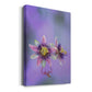 Exotic Flower Burst II - Canvas Art Print