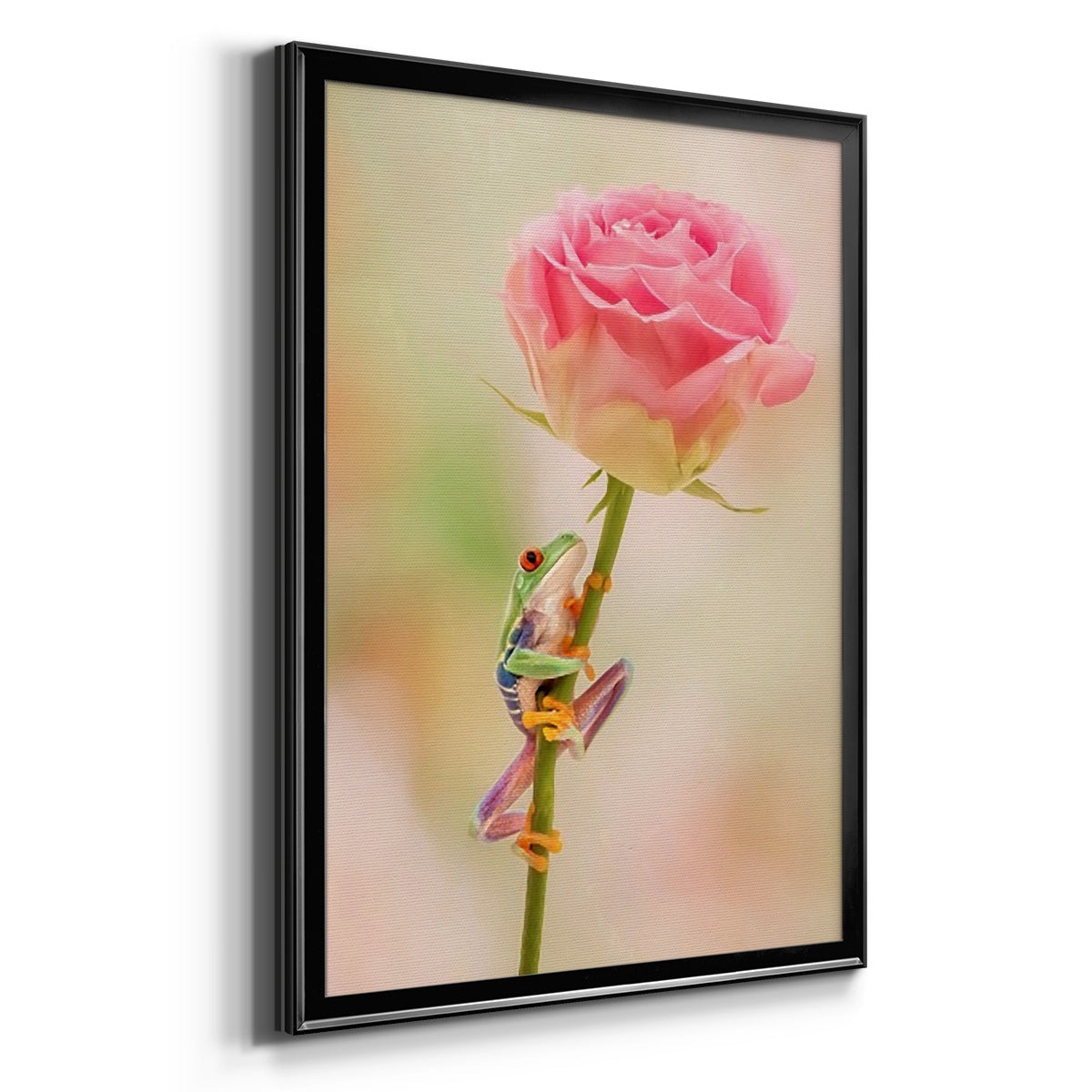 Hanging On II - Modern Framed Canvas Print