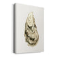 Neutral Oyster Study III  Premium Gallery Wrapped Canvas - Ready to Hang