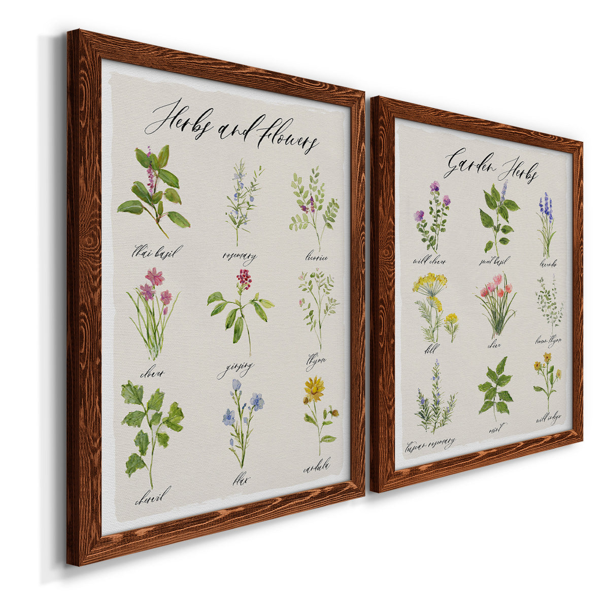 Herbs and Flowers - Premium Framed Canvas 2 Piece Set - Ready to Hang