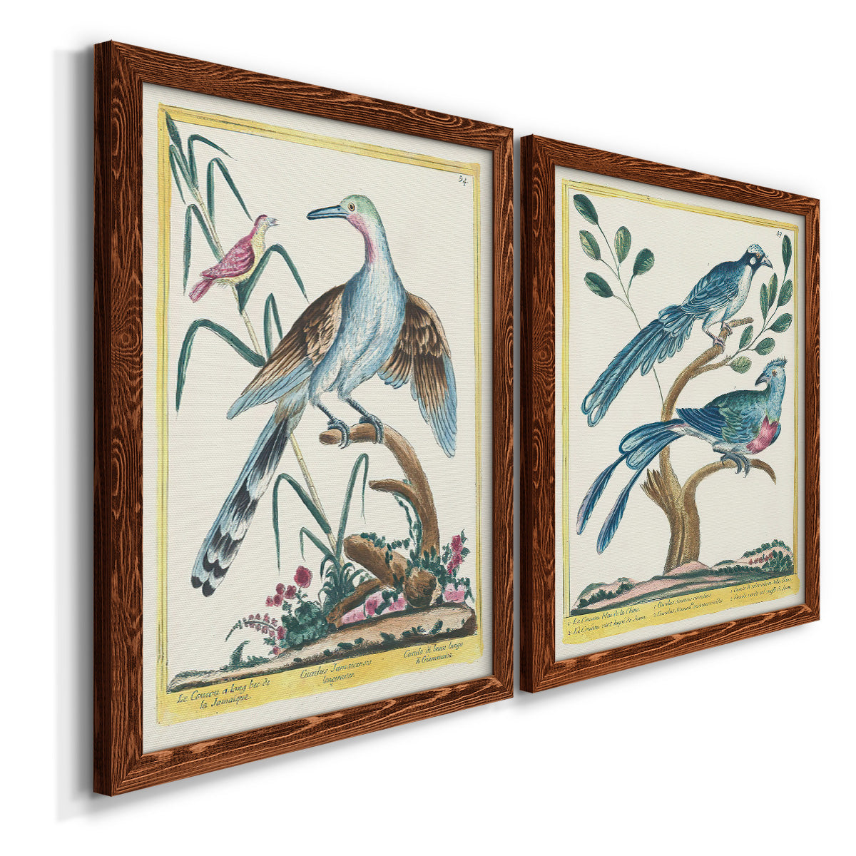 Pastel Birds V - Premium Framed Canvas 2 Piece Set - Ready to Hang