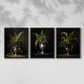 Floral Study Series LXXI - Restickable Framed Art Set
