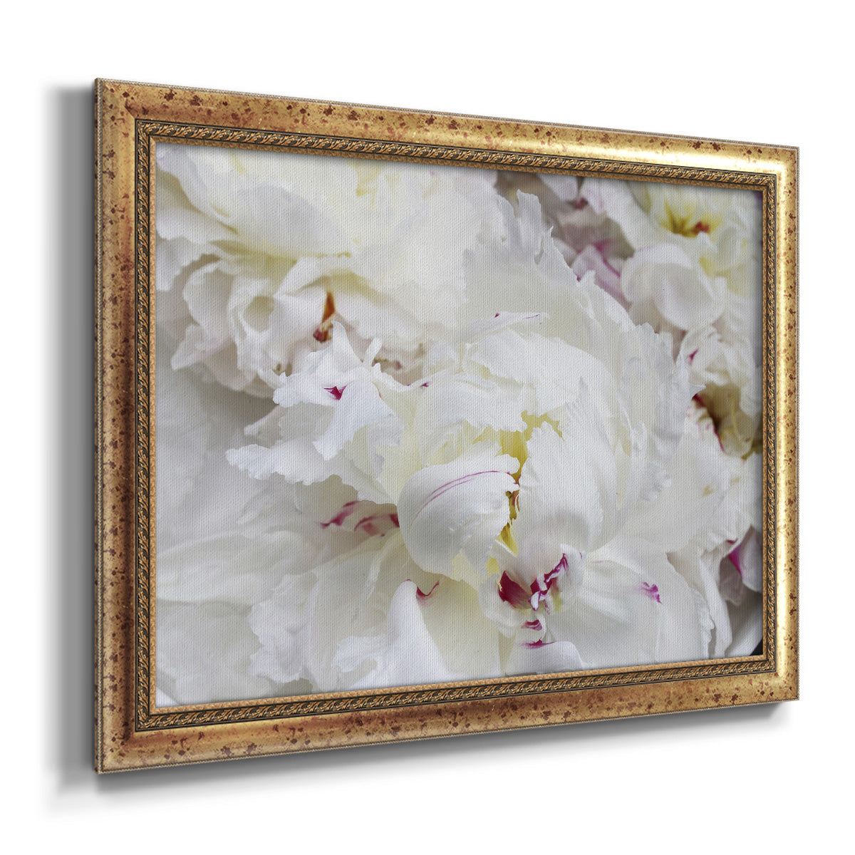 Breathless VI - Ornate Framed Canvas Print