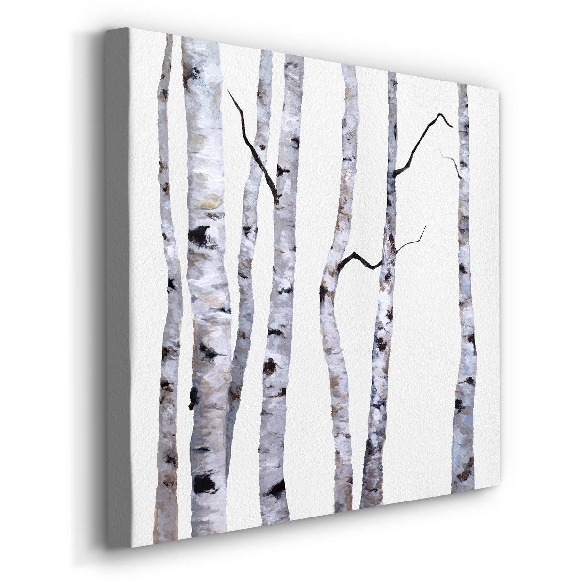 Birch Trees I-Premium Gallery Wrapped Canvas - Ready to Hang