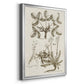 Sepia Botanical Journal VI - Modern Framed Canvas Print