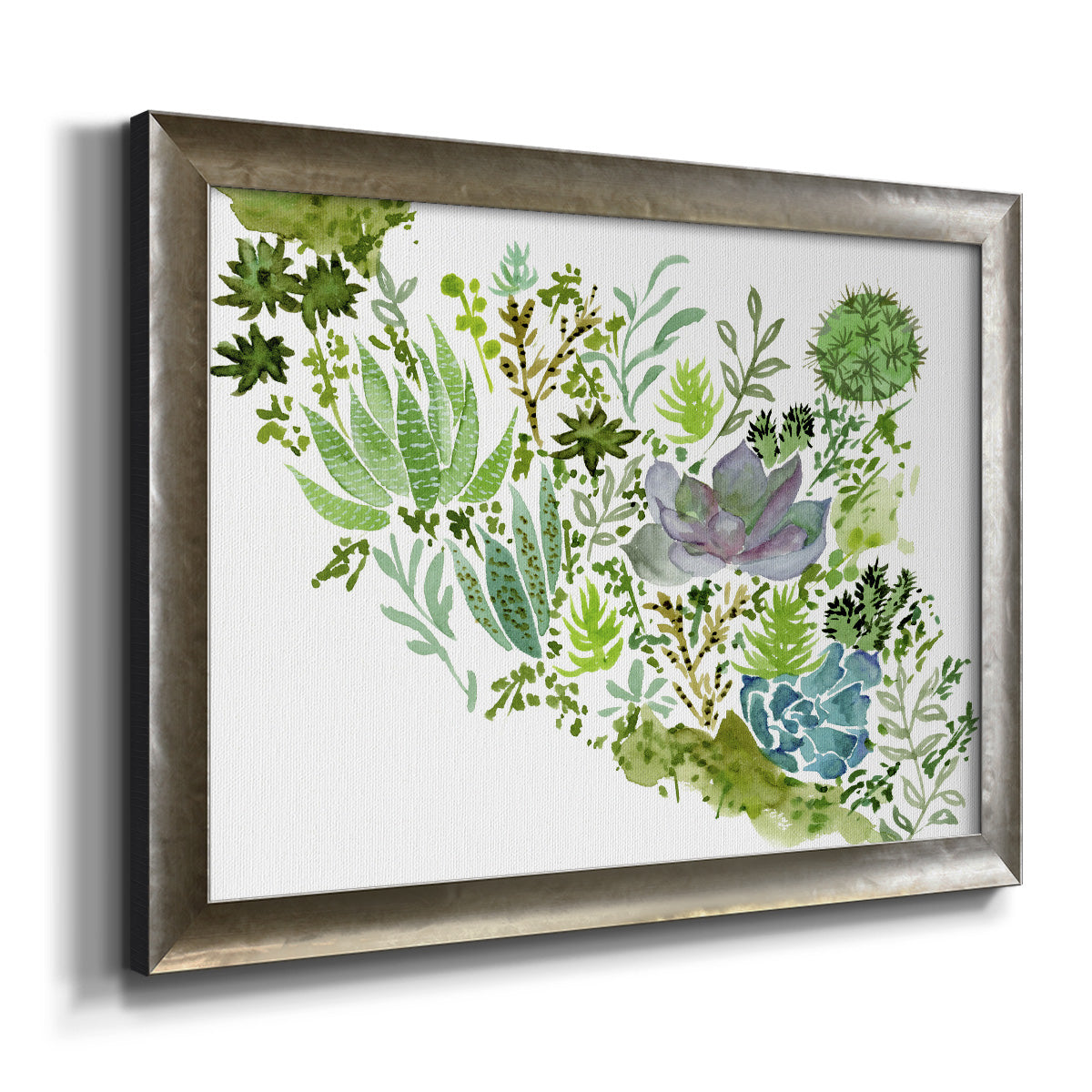 Succulent Field II - Ornate Framed Canvas Print