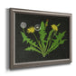 Vintage botanical dandelion flower illustration printed on canvas in an ornate vintage silver frame.