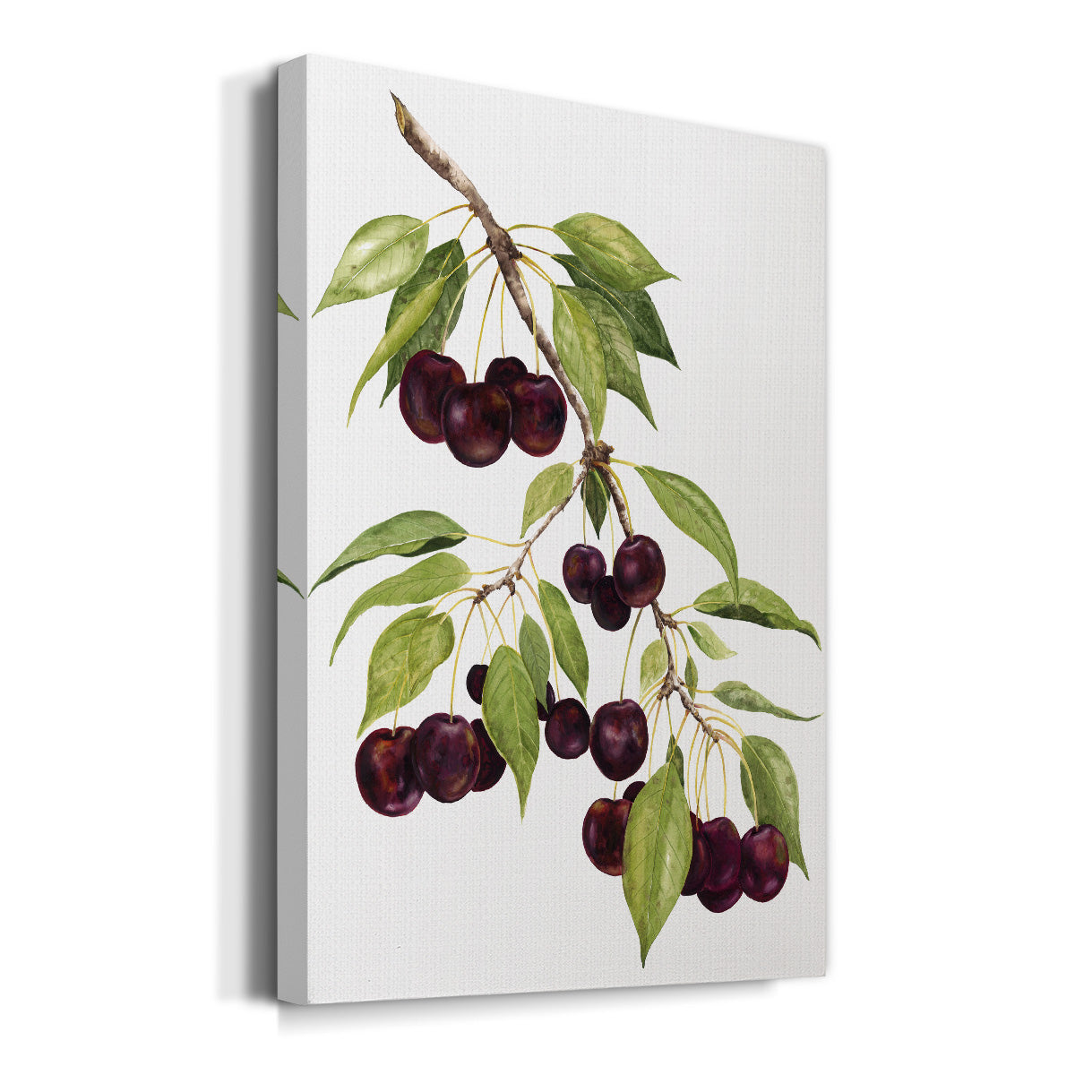 Watercolor Cherries Premium Gallery Wrapped Canvas - Ready to Hang