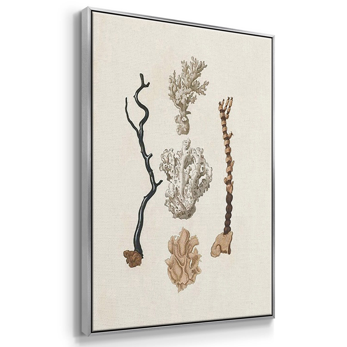 Knorr Shells & Coral IV - Framed Premium Gallery Wrapped Canvas L Frame 3 Piece Set - Ready to Hang