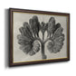 Blossfeldt Botanical VIII Premium Framed Canvas- Ready to Hang