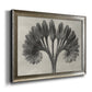 Vintage botanical plant study photograph by Karl Blossfeldt printed on canvas in an ornate mottled silver frame.