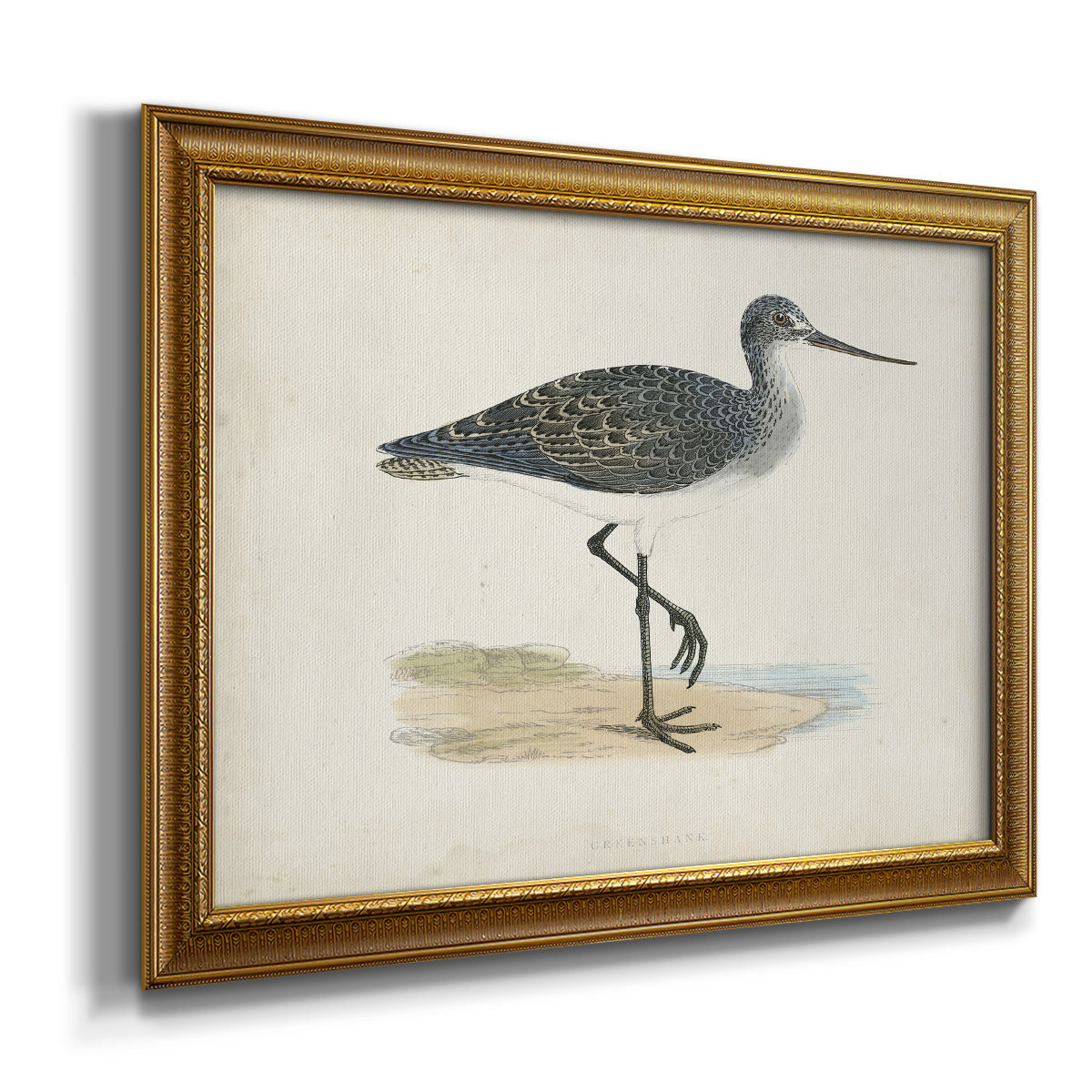 Morris Sandpipers III Premium Framed Canvas- Ready to Hang