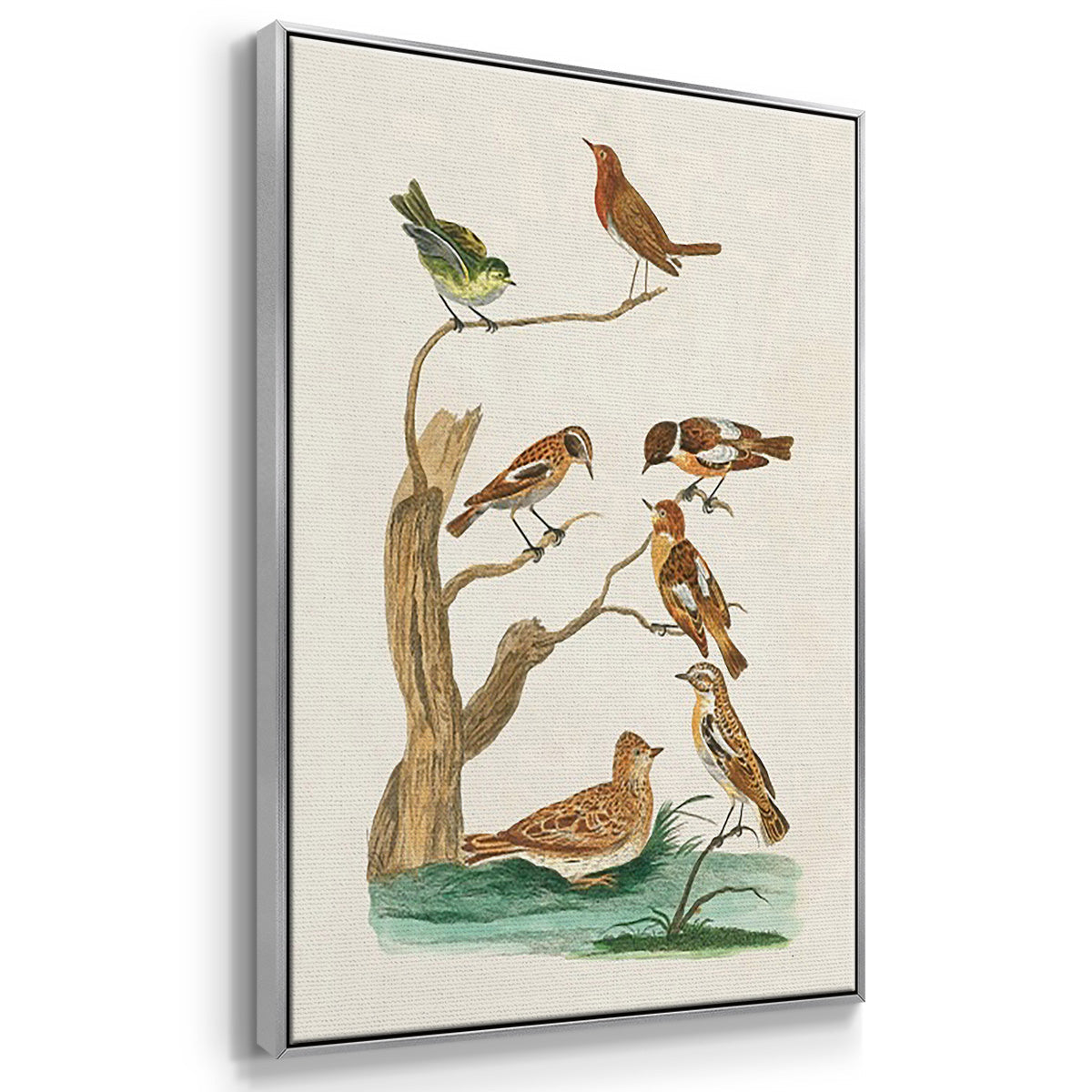 Antique Birds in Nature I - Framed Premium Gallery Wrapped Canvas L Frame 3 Piece Set - Ready to Hang