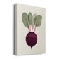 Organic Veg IX Premium Gallery Wrapped Canvas - Ready to Hang