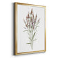 Dainty Botanical III - Modern Framed Canvas Print