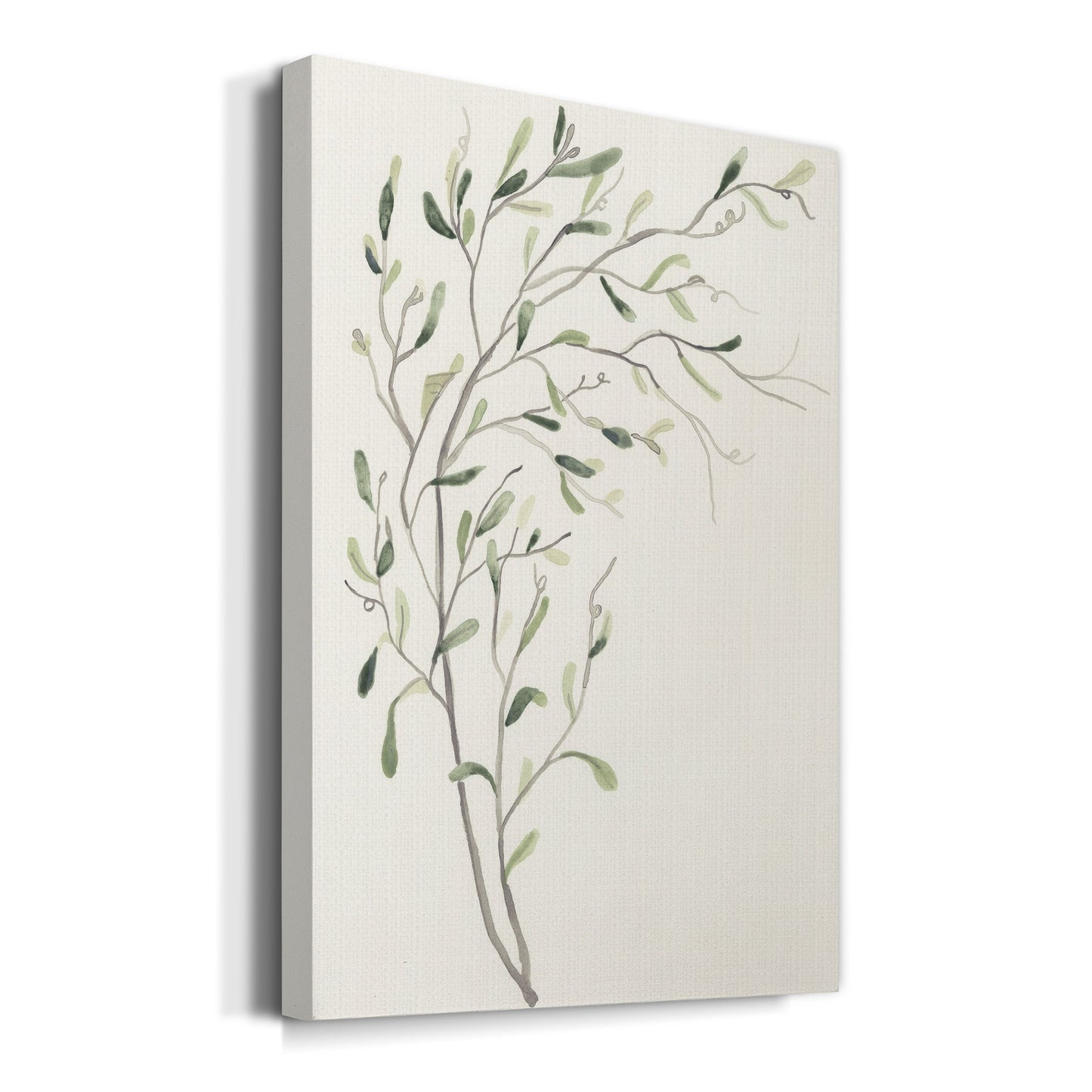 Spindle Sprig II Premium Gallery Wrapped Canvas - Ready to Hang