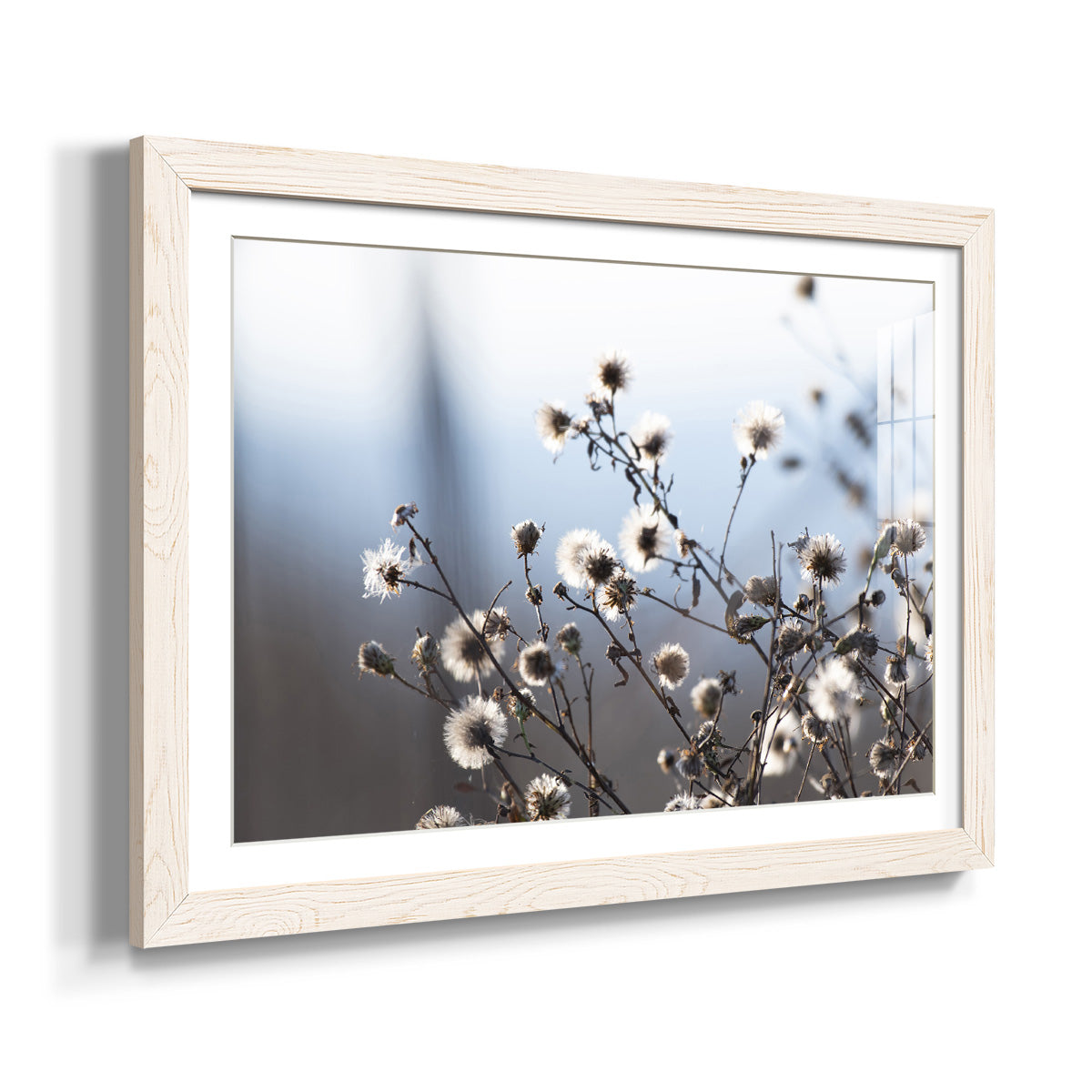 Spring Fluff - Barnwood Framed Art Print
