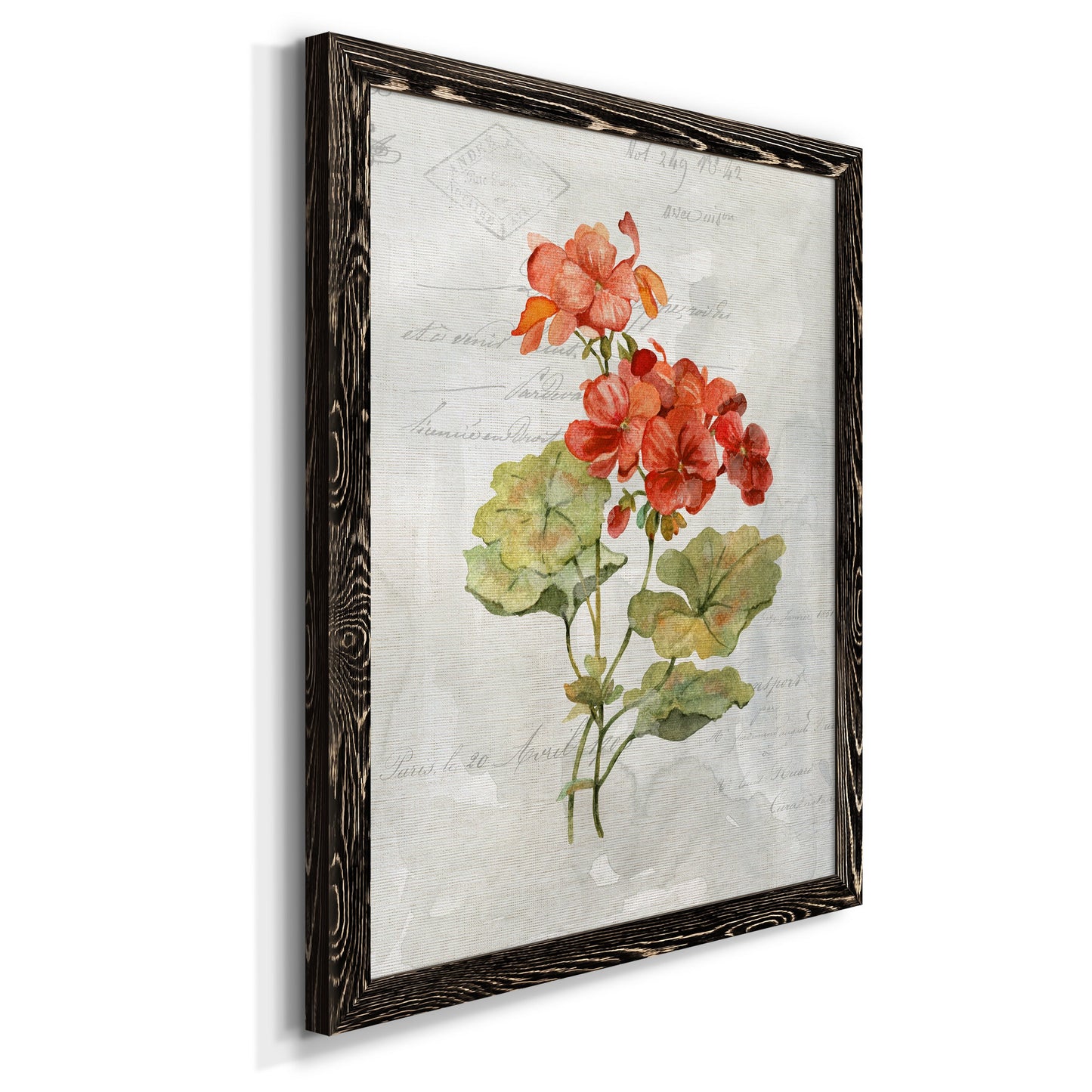 Linen Geranium - Premium Canvas Framed in Barnwood - Ready to Hang