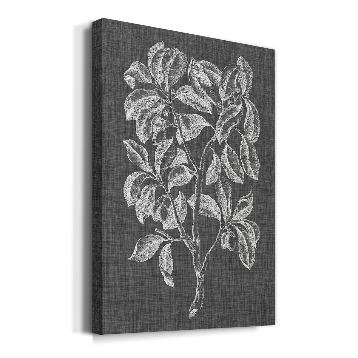 Graphic Foliage I Premium Gallery Wrapped Canvas - Ready to Hang