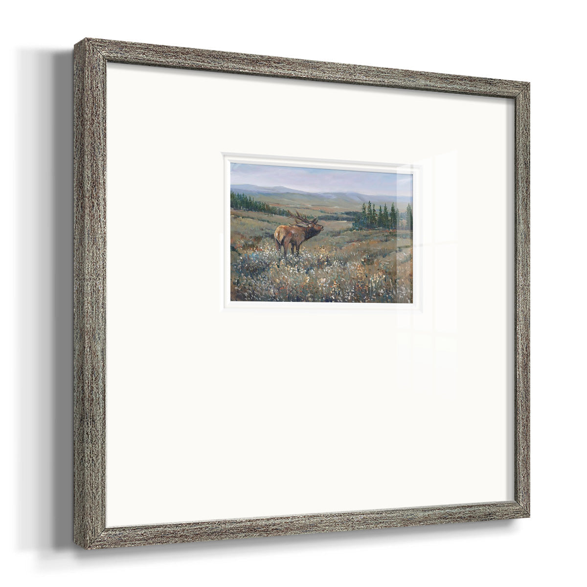 Western Wildlife I Premium Framed Print Double Matboard