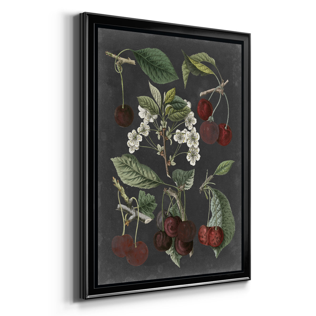 Orchard Varieties I - Modern Framed Canvas Print