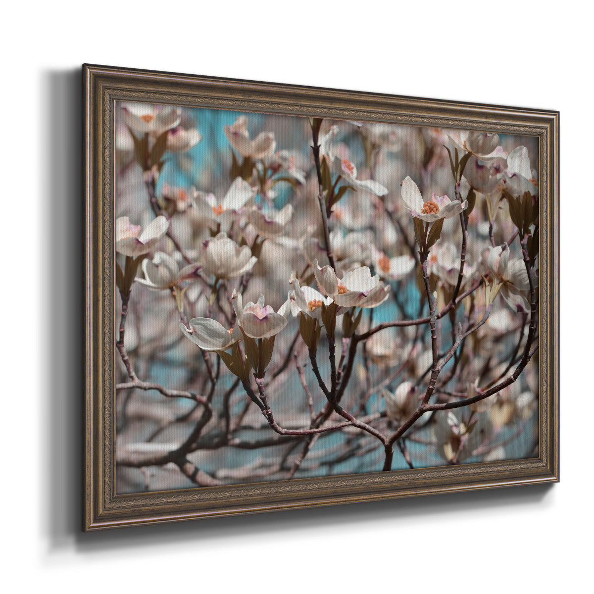 Dogwood Spring I Premium Framed Canvas- Ready to Hang