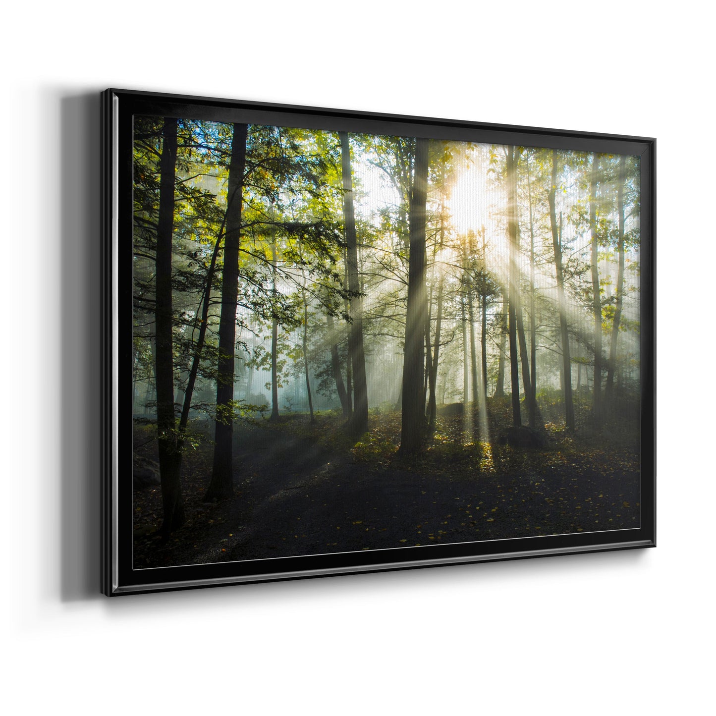 Light and Trees Premium Classic Framed Canvas - Ready to Hang