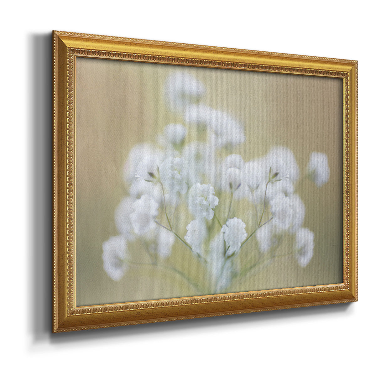 Baby's Breath Study I Premium Framed Canvas- Ready to Hang