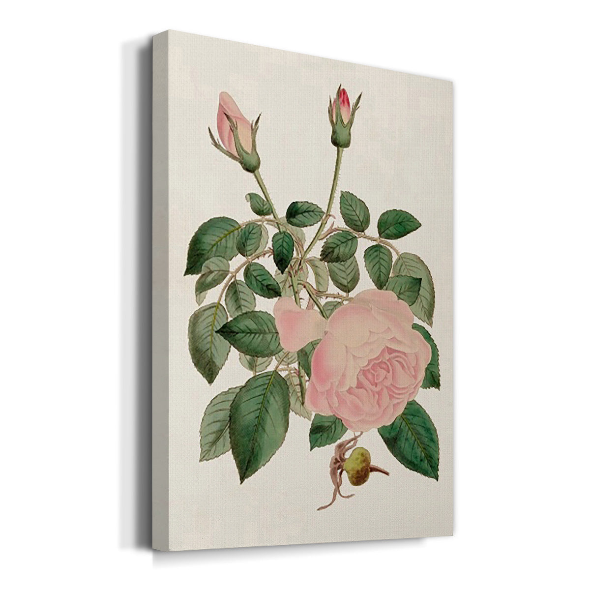 Pink Floral Mix II - Canvas Art Print