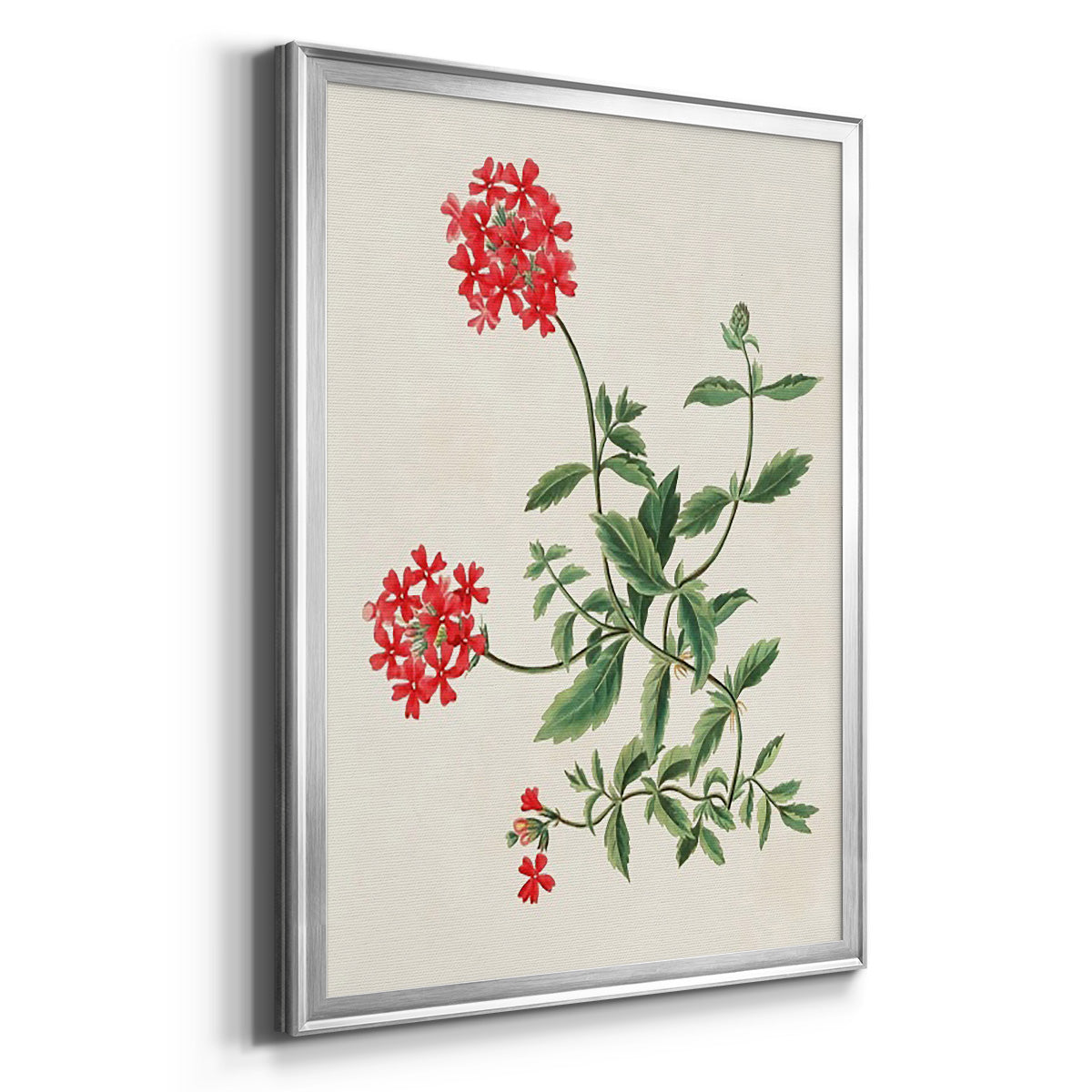 Flowers of the Seasons XI - Modern Framed Canvas Print