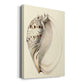 Splendid Shells I Premium Gallery Wrapped Canvas - Ready to Hang