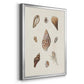 Knorr Shells & Coral IX - Modern Framed Canvas Print