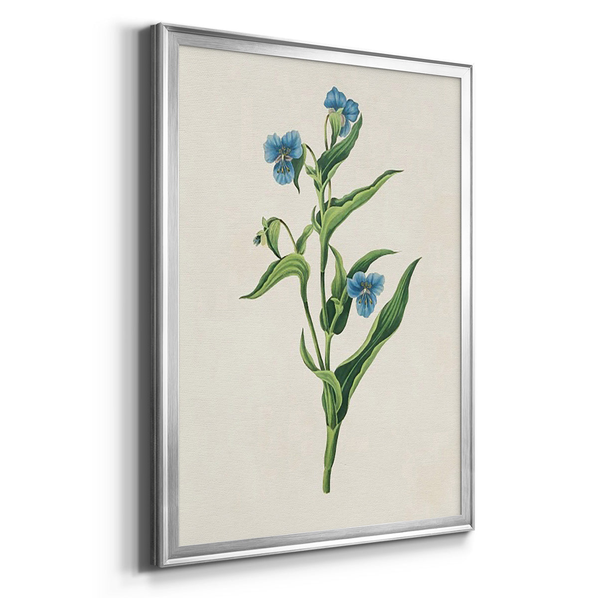 Flowers of the Seasons V - Modern Framed Canvas Print