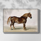A Cart-Horse - Floater Framed Canvas Print