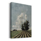 Copse of Trees Premium Gallery Wrapped Canvas - Ready to Hang