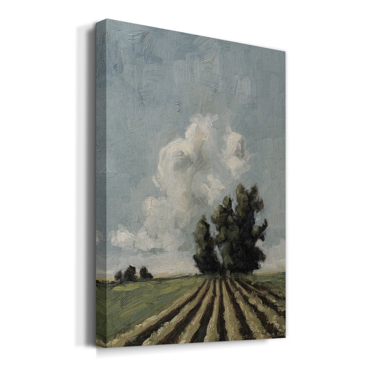 Copse of Trees Premium Gallery Wrapped Canvas - Ready to Hang