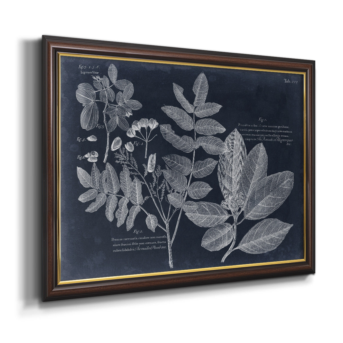 Foliage on Navy V Premium Framed Canvas- Ready to Hang