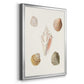 Pastel Knorr Shells IX - Modern Framed Canvas Print
