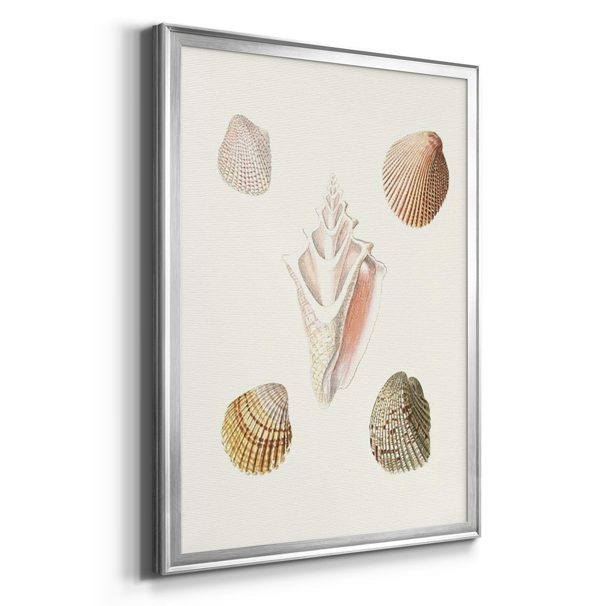 Pastel Knorr Shells IX - Modern Framed Canvas Print