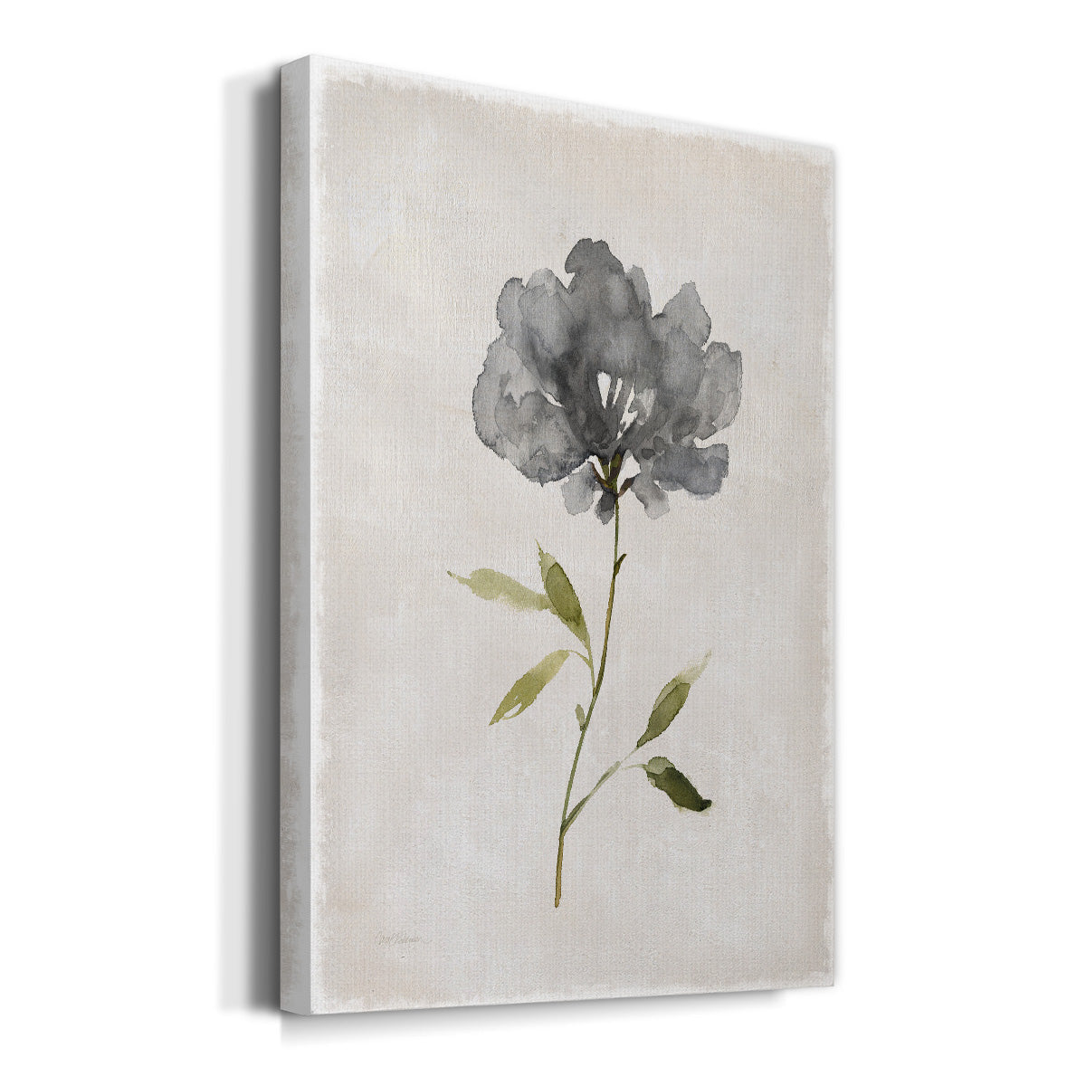 Botanical Beauty I Premium Gallery Wrapped Canvas - Ready to Hang