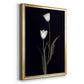Tulip Pose II - Modern Framed Canvas Print